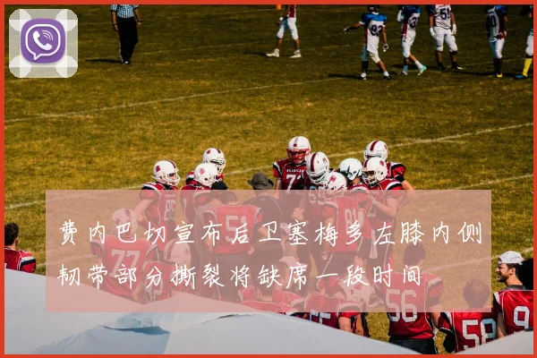 费内巴切宣布后卫塞梅多左膝内侧韧带部分撕裂将缺席一段时间