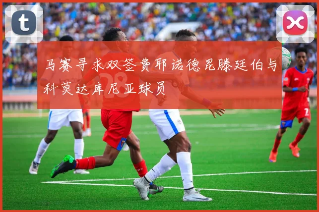 马赛寻求双签费耶诺德昆滕廷伯与科莫达库尼亚球员
